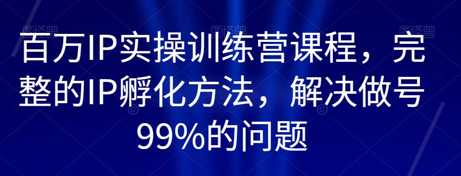 百万IP实操训练营课程，完整的IP孵化方法，解决做号99%的问题-佛系网创