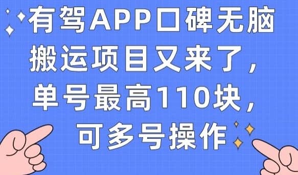 有驾APP口碑无脑搬运项目又来了，单号最高110块，可多号操作-佛系网创