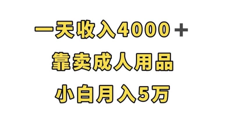 一天收入4000+，靠卖成人用品，小白轻松月入5万【揭秘】-佛系网创