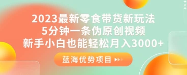 2023最新零食带货新玩法，5分钟一条伪原创视频，新手小白也能轻松月入3000+【揭秘】-佛系网创