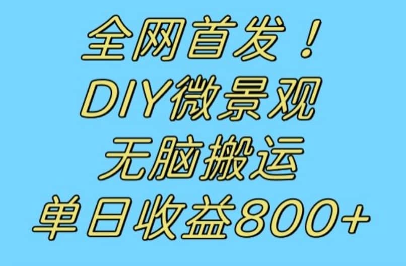 全网首发冷门赛道！DIY微景观，无脑搬运视频，日收益800+【揭秘】-佛系网创