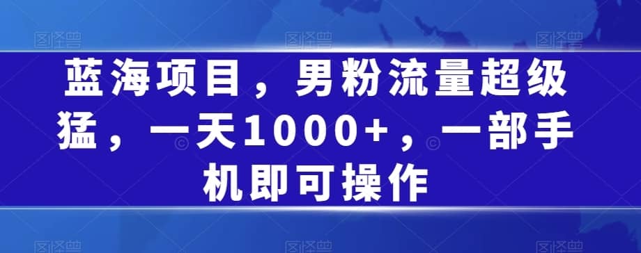 蓝海项目，男粉流量超级猛，一天1000+，一部手机即可操作【揭秘】-佛系网创
