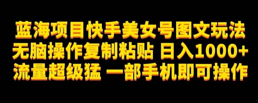 蓝海项目快手美女号图文玩法，无脑操作复制粘贴，日入1000+流量超级猛一部手机即可操作【揭秘】-佛系网创