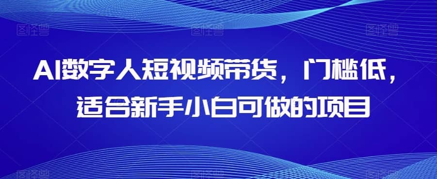 AI数字人短视频带货，门槛低，适合新手小白可做的项目-佛系网创