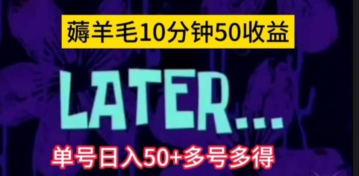 美团薅羊毛玩法，单号日入50+多号多得【仅揭秘】-佛系网创