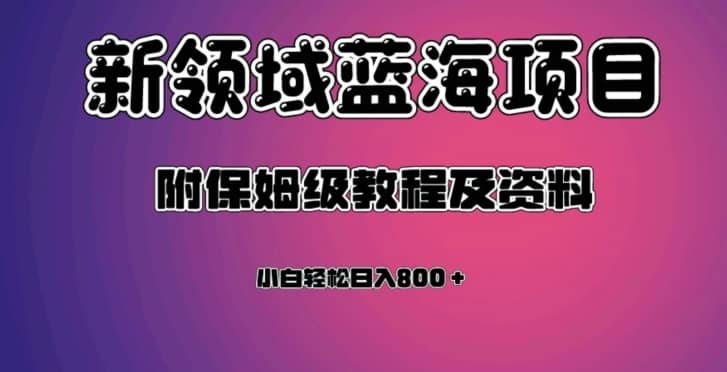 虚拟资源蓝海领域新项目，轻松日入800＋，附保姆级教程及资料-佛系网创