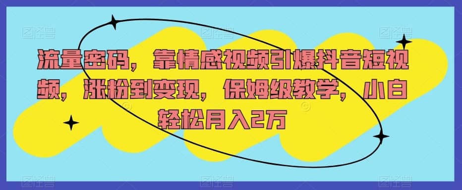流量密码，靠情感视频引爆抖音短视频，涨粉到变现，保姆级教学，小白轻松月入2万【揭秘】-佛系网创