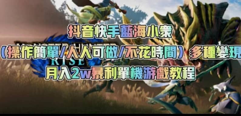 抖音快手蓝海小众（操作简单人人可做不花时间）多种变现月入2w＋暴利单机游戏教程-佛系网创