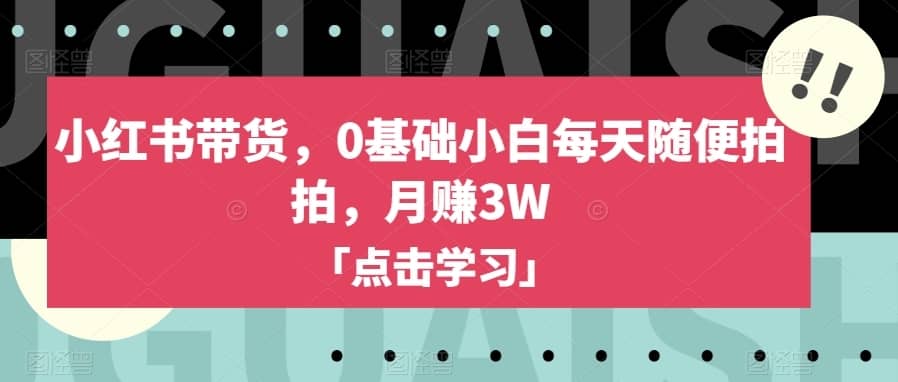 小红书带货，0基础小白每天随便拍拍，月赚3W【揭秘】-佛系网创