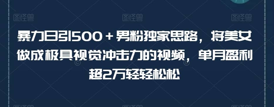 暴力日引500＋男粉独家思路，将美女做成极具视觉冲击力的视频，单月盈利超2万轻轻松松-佛系网创