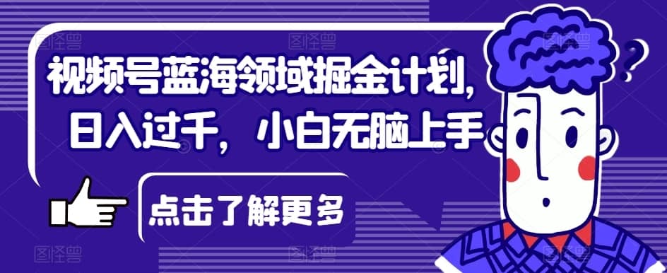 视频号蓝海领域掘金计划，日入过千，小白无脑上手【揭秘】-佛系网创