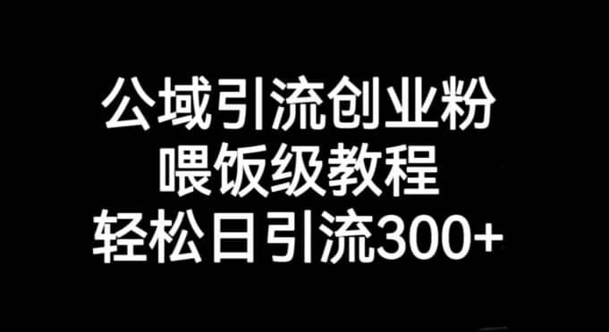 公域引流创业粉，喂饭级教程，轻松日引流300+【揭秘】-佛系网创