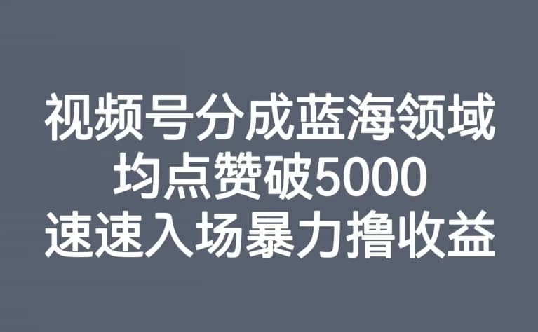 视频号分成蓝海领域，均点赞破5000，速速入场暴力撸收益-佛系网创