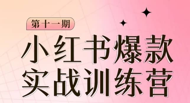 小红书博主爆款训练营第11期，手把手教你从0-1做小红书，从定位到起号到变现-佛系网创