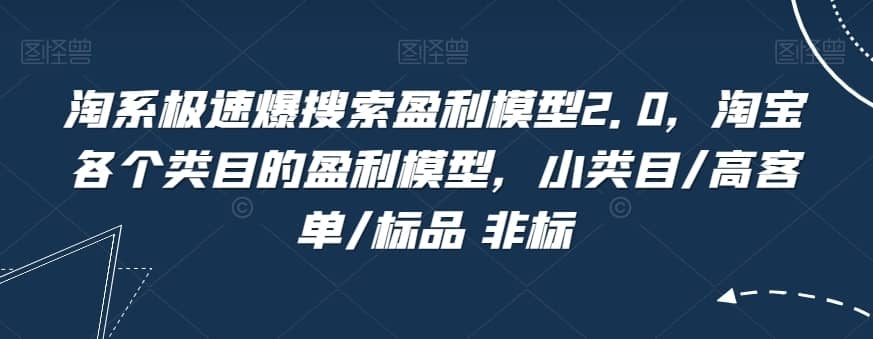 淘系极速爆搜索盈利模型2.0，淘宝各个类目的盈利模型，小类目/高客单/标品 非标-佛系网创