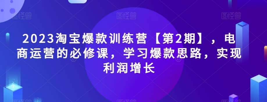 2023淘宝爆款训练营【第2期】，电商运营的必修课，学习爆款思路，实现利润增长-佛系网创