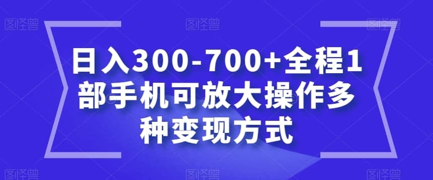 日入300-700+全程1部手机可放大操作多种变现方式【揭秘】-佛系网创