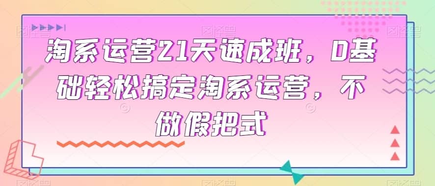 淘系运营21天速成班，0基础轻松搞定淘系运营，不做假把式-佛系网创