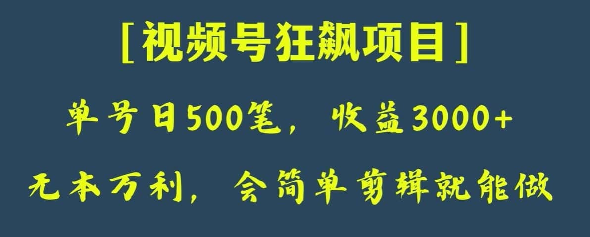 日收款500笔，纯利润3000+，视频号狂飙项目，会简单剪辑就能做【揭秘】-佛系网创
