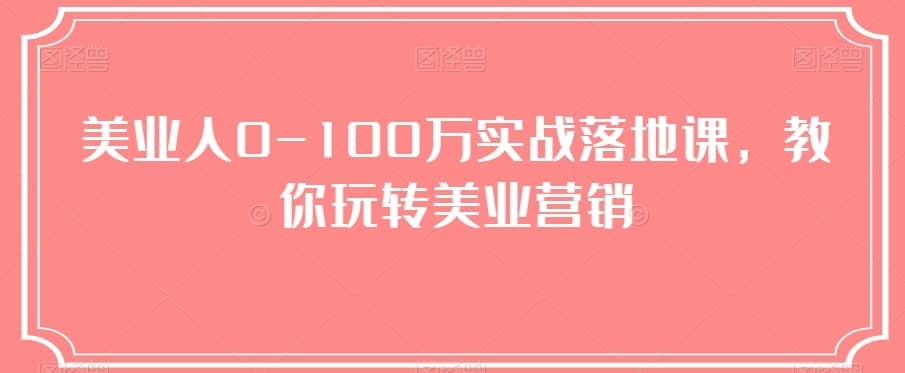 美业人0-100万实战落地课，教你玩转美业营销-佛系网创