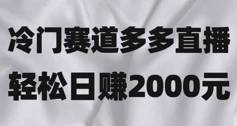 冷门赛道拼多多直播，简单念稿子，日收益2000＋【揭秘】-佛系网创