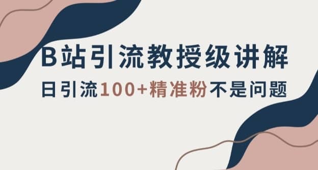 B站引流教授级讲解，细节满满，日引流100+精准粉不是问题【揭秘】-佛系网创