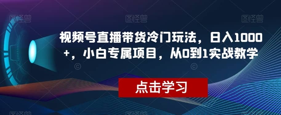 视频号直播带货冷门玩法，日入1000+，小白专属项目，从0到1实战教学【揭秘】-佛系网创