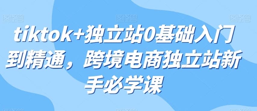 tiktok+独立站0基础入门到精通，跨境电商独立站新手必学课-佛系网创