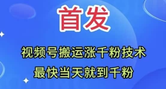全网首发：视频号无脑搬运涨千粉技术，最快当天到千粉【揭秘】-佛系网创