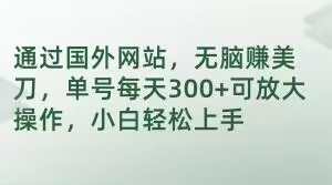 通过国外网站，无脑赚美刀，单号每天300+可放大操作，小白轻松上手【揭秘】-佛系网创