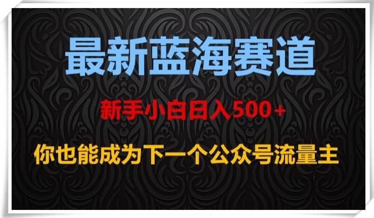 最新蓝海赛道，新手小白日入500+，你也能成为下一个公众号流量主【揭秘】-佛系网创