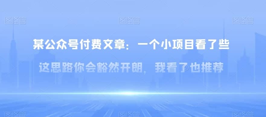 某公众号付费文章：一?小个?项目看了?些这?思?你路?会?然豁?开朗，我?了看?也推荐-佛系网创