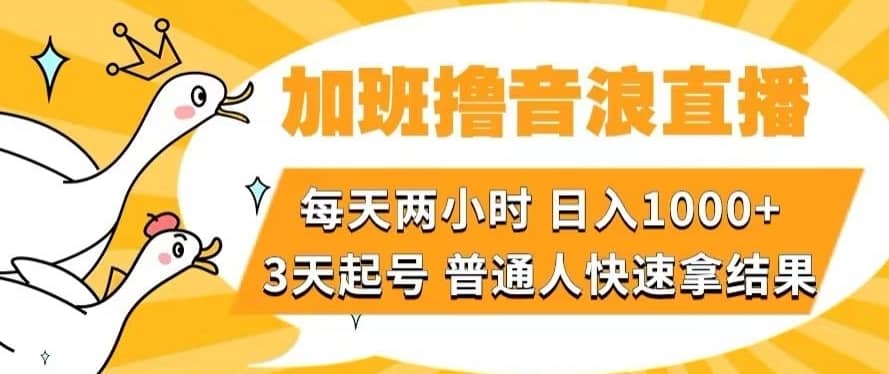 加班撸音浪直播，每天两小时，日入1000+，直播话术才3句，3天起号，普通人快速拿结果【揭秘】-佛系网创