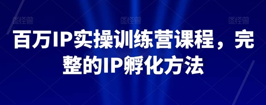 百万IP实操训练营课程，完整的IP孵化方法-佛系网创