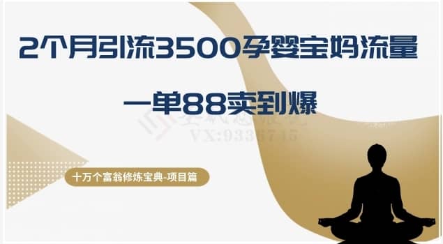 十万个富翁修炼宝典之13.2个月引流3500孕婴宝妈流量，一单88卖到爆-佛系网创