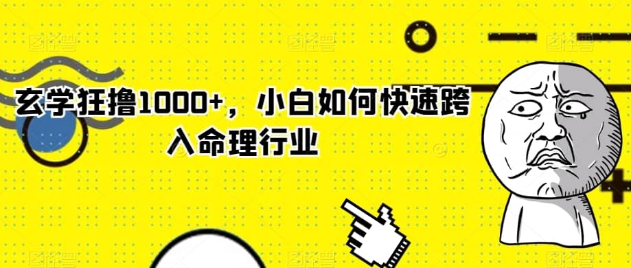 玄学狂撸1000+，小白如何快速跨入命理行业【揭秘】-佛系网创