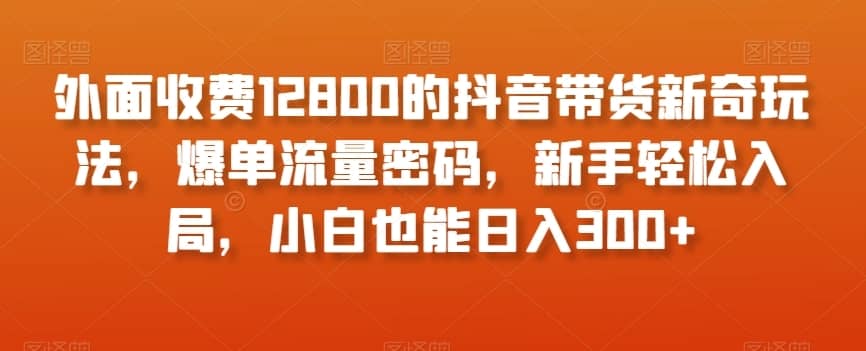 外面收费12800的抖音带货新奇玩法，爆单流量密码，新手轻松入局，小白也能日入300+【揭秘】-佛系网创