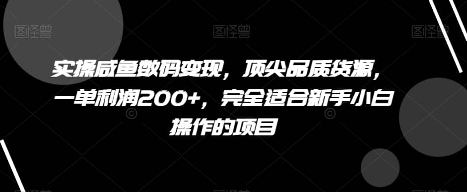 实操咸鱼数码变现，顶尖品质货源，一单利润200+，完全适合新手小白操作的项目【揭秘】-佛系网创