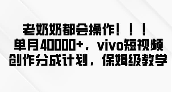老奶奶都会操作，新平台无脑操作，单月40000+，vivo短视频创作分成计划【揭秘】-佛系网创
