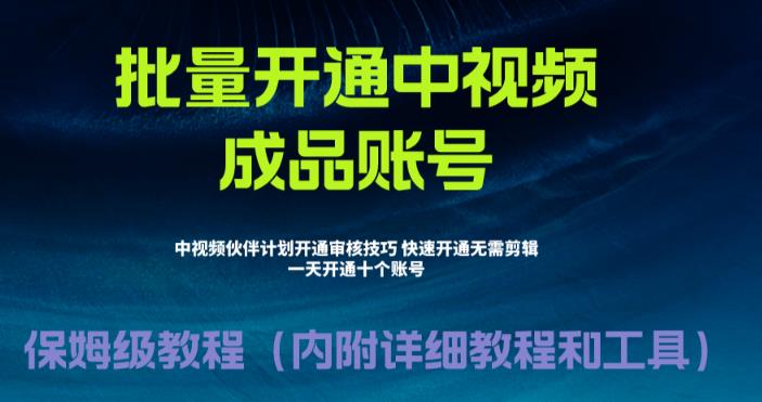 [新自媒体]外面收费1980暴力开通中视频计划教程，附 快速通过中视频伙伴计划的办法-佛系网创