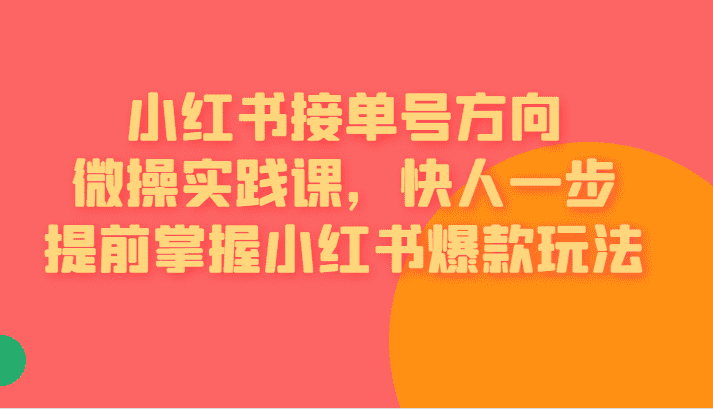 [小红书]小红书接单号方向微操实践课，快人一步提前掌握小红书爆款玩法-佛系网创