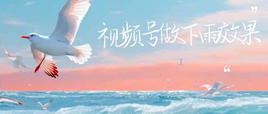 视频号做下雨视频，一个账号一周涨粉10W+，日入1000+附保姆级教程-佛系网创
