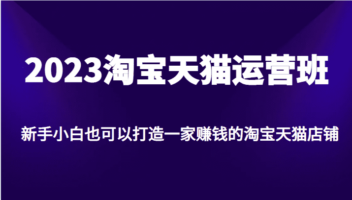 2023淘宝天猫运营班，新手小白也可以打造一家赚钱的淘宝天猫店铺-佛系网创
