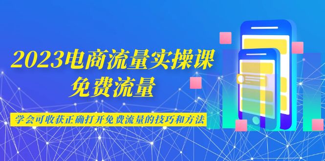 2023电商流量实操课-免费流量，学会可收获正确打开免费流量的技巧和方法-佛系网创
