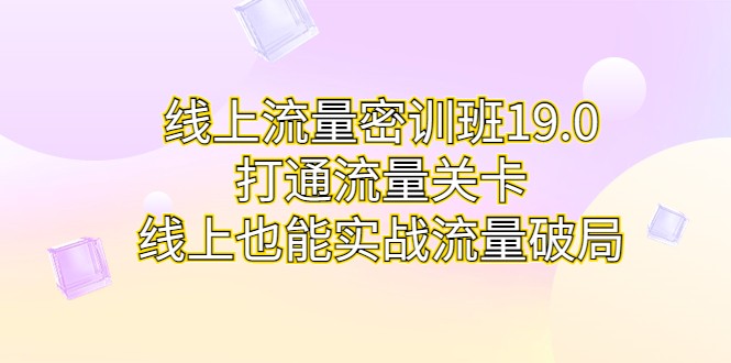 线上流量密训班19.0，打通流量关卡，线上也能实战流量破局-佛系网创