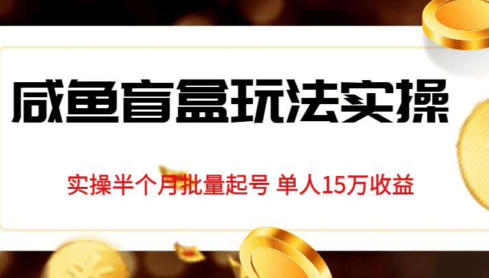 独家首发咸鱼盲盒玩法实操，半个月批量起号单人15万收益揭秘-佛系网创