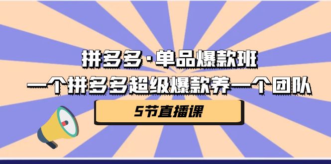 拼多多·单品爆款班，一个拼多多超级爆款养一个团队（5节直播课）-佛系网创