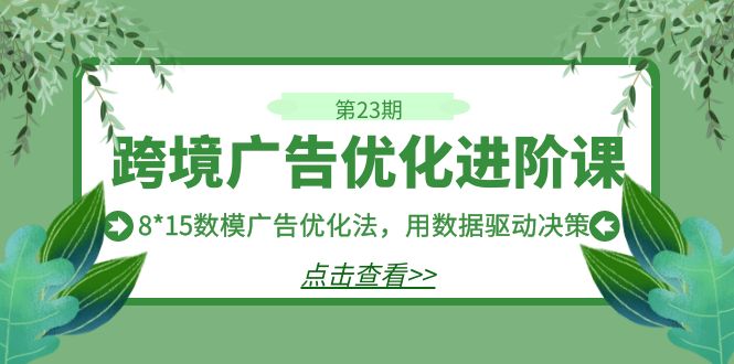 跨境广告·优化进阶课·第23期，8*15数模广告优化法，用数据驱动决策-佛系网创