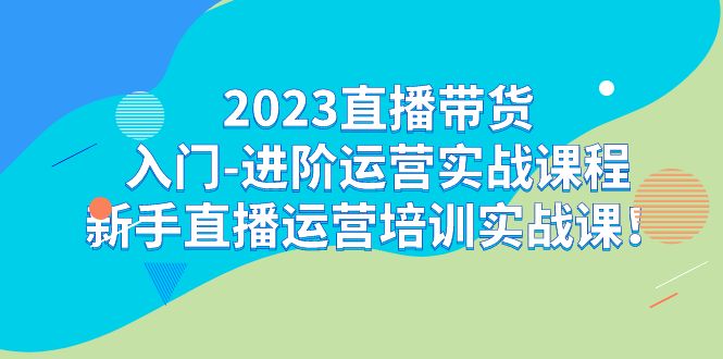 2023直播带货入门-进阶运营实战课程：新手直播运营培训实战课-佛系网创