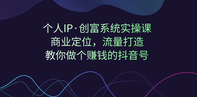 个人IP·创富系统实操课：商业定位，流量打造，教你做个赚钱的抖音号-佛系网创